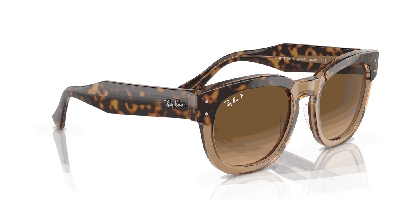 [Brown Lenses, Polished Havana On Transparent Brown Frame]