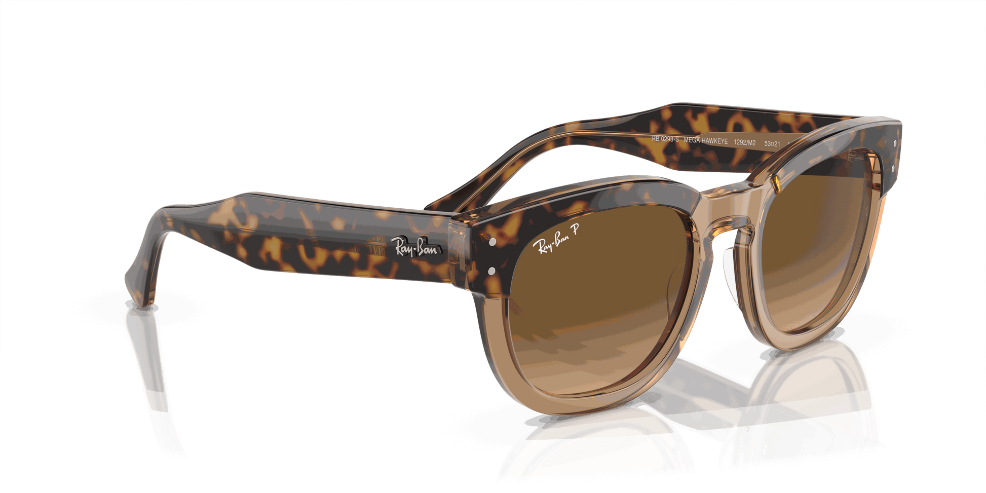 [Brown Lenses, Polished Havana On Transparent Brown Frame]