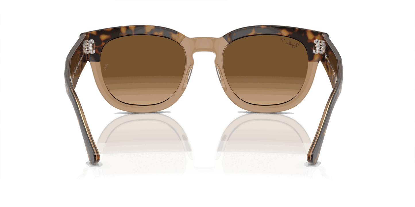 [Brown Lenses, Polished Havana On Transparent Brown Frame]