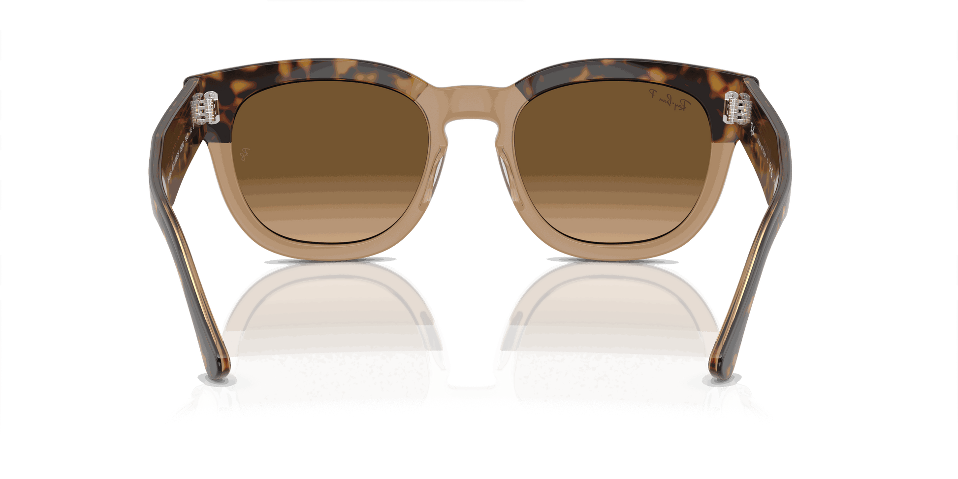 [Brown Lenses, Polished Havana On Transparent Brown Frame]