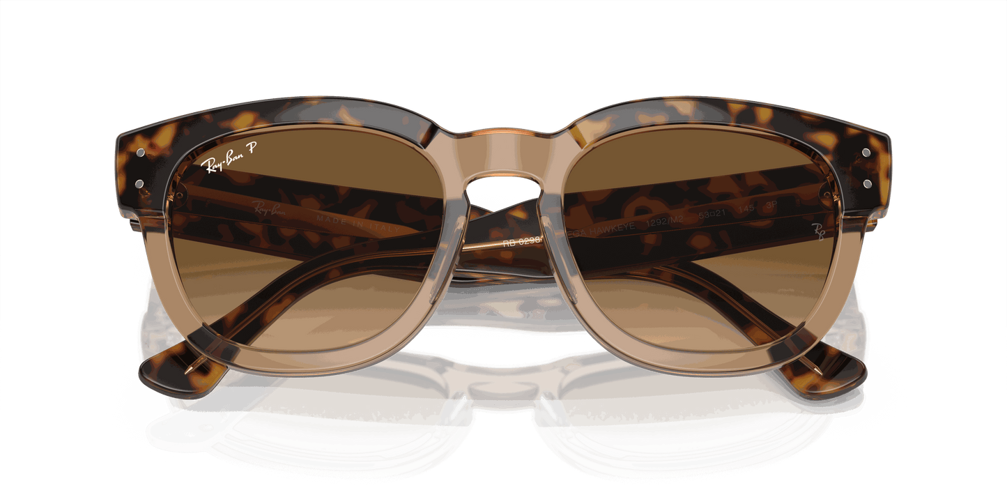 [Brown Lenses, Polished Havana On Transparent Brown Frame]