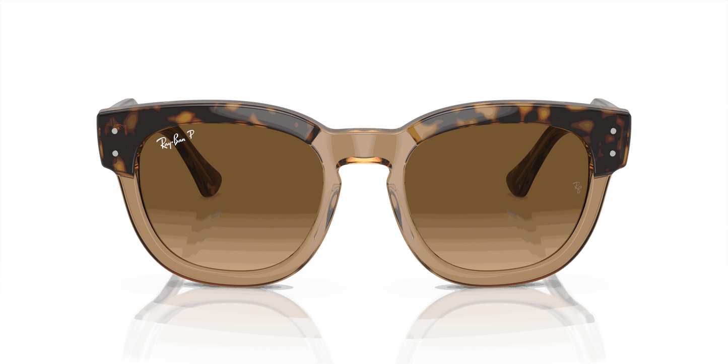 [Brown Lenses, Polished Havana On Transparent Brown Frame]