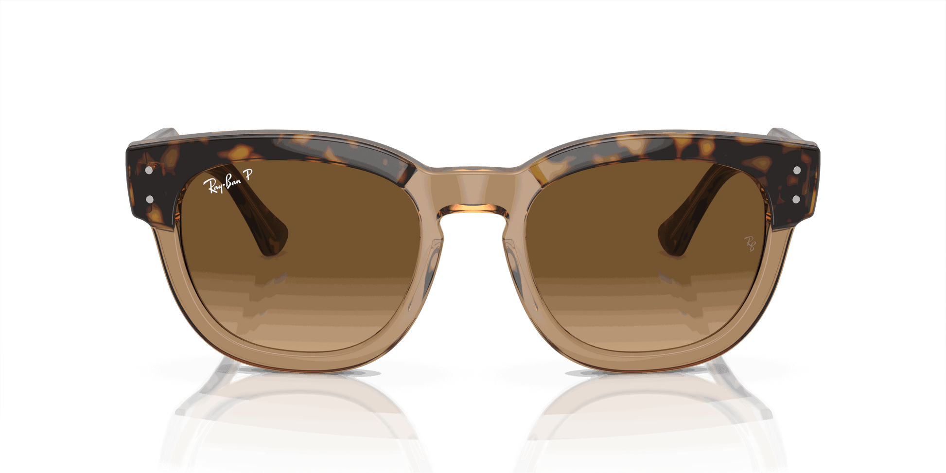 [Brown Lenses, Polished Havana On Transparent Brown Frame]