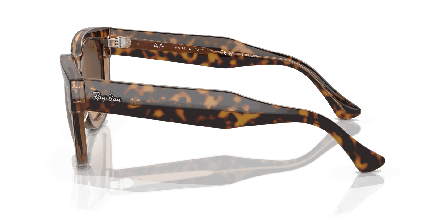 [Brown Lenses, Polished Havana On Transparent Brown Frame]