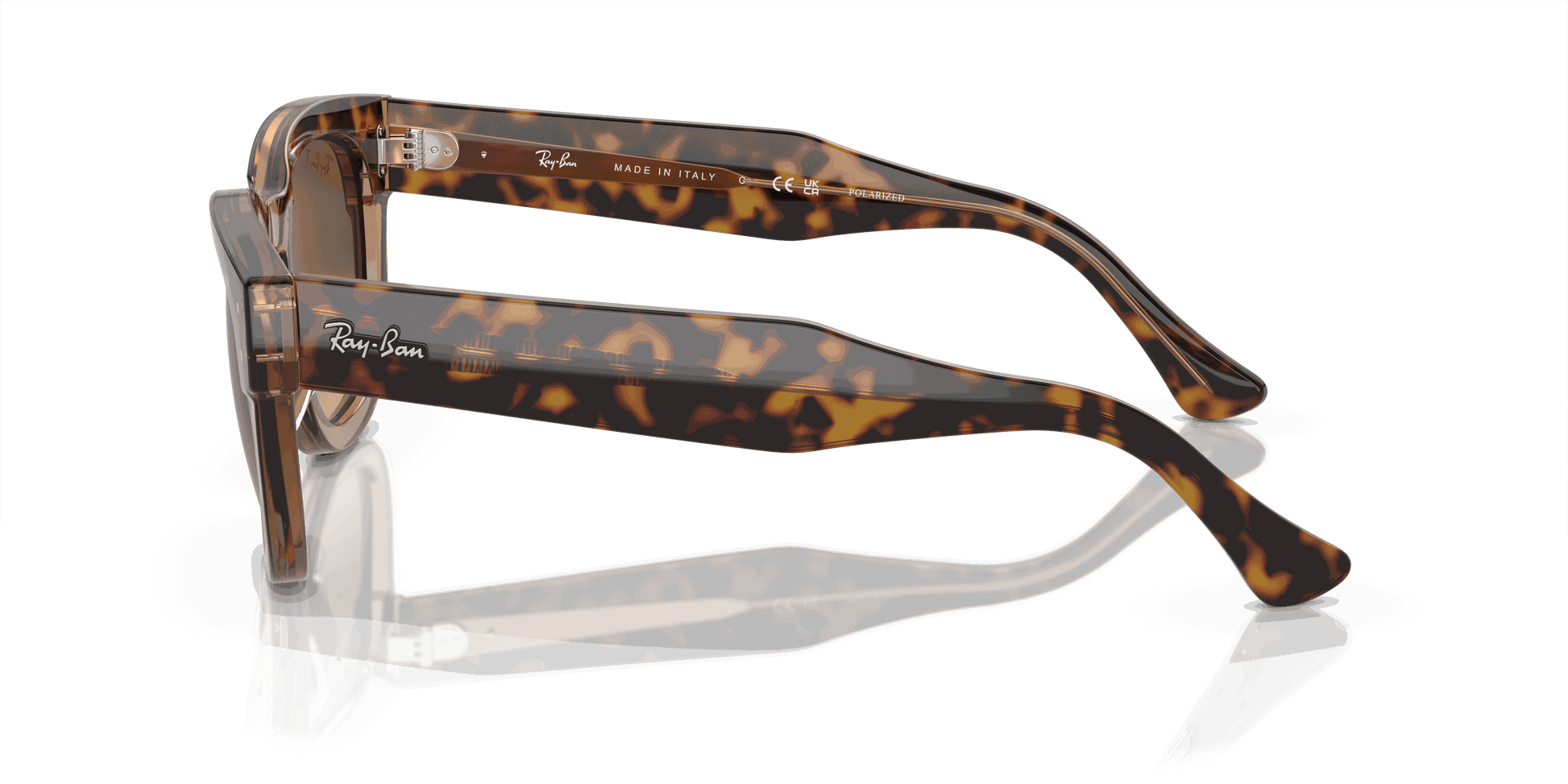 [Brown Lenses, Polished Havana On Transparent Brown Frame]