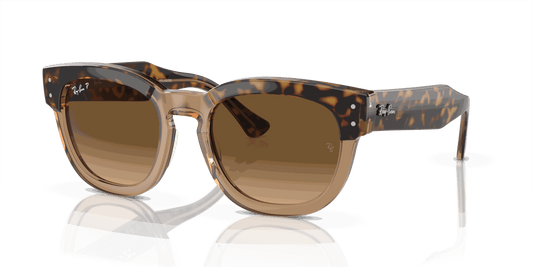 [Brown Lenses, Polished Havana On Transparent Brown Frame]