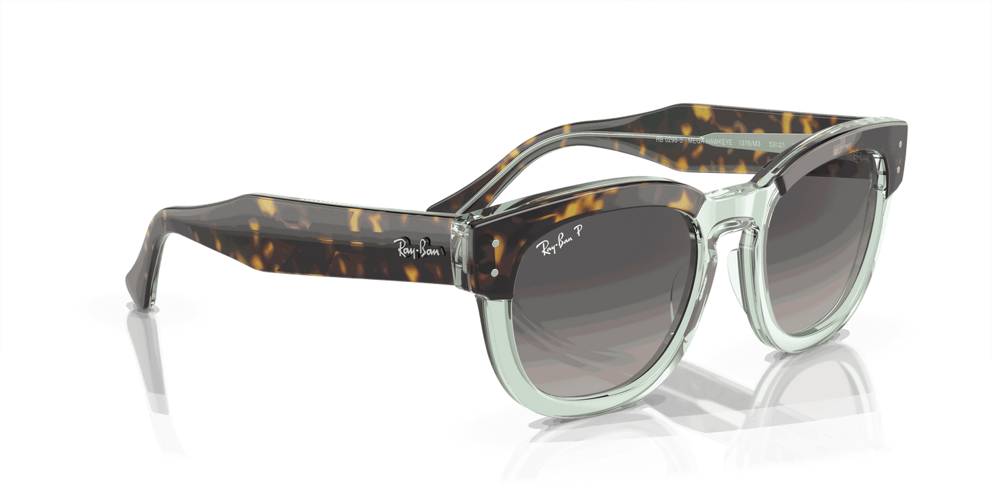 [Grey Lenses, Polished Havana On Transparent Green Frame]