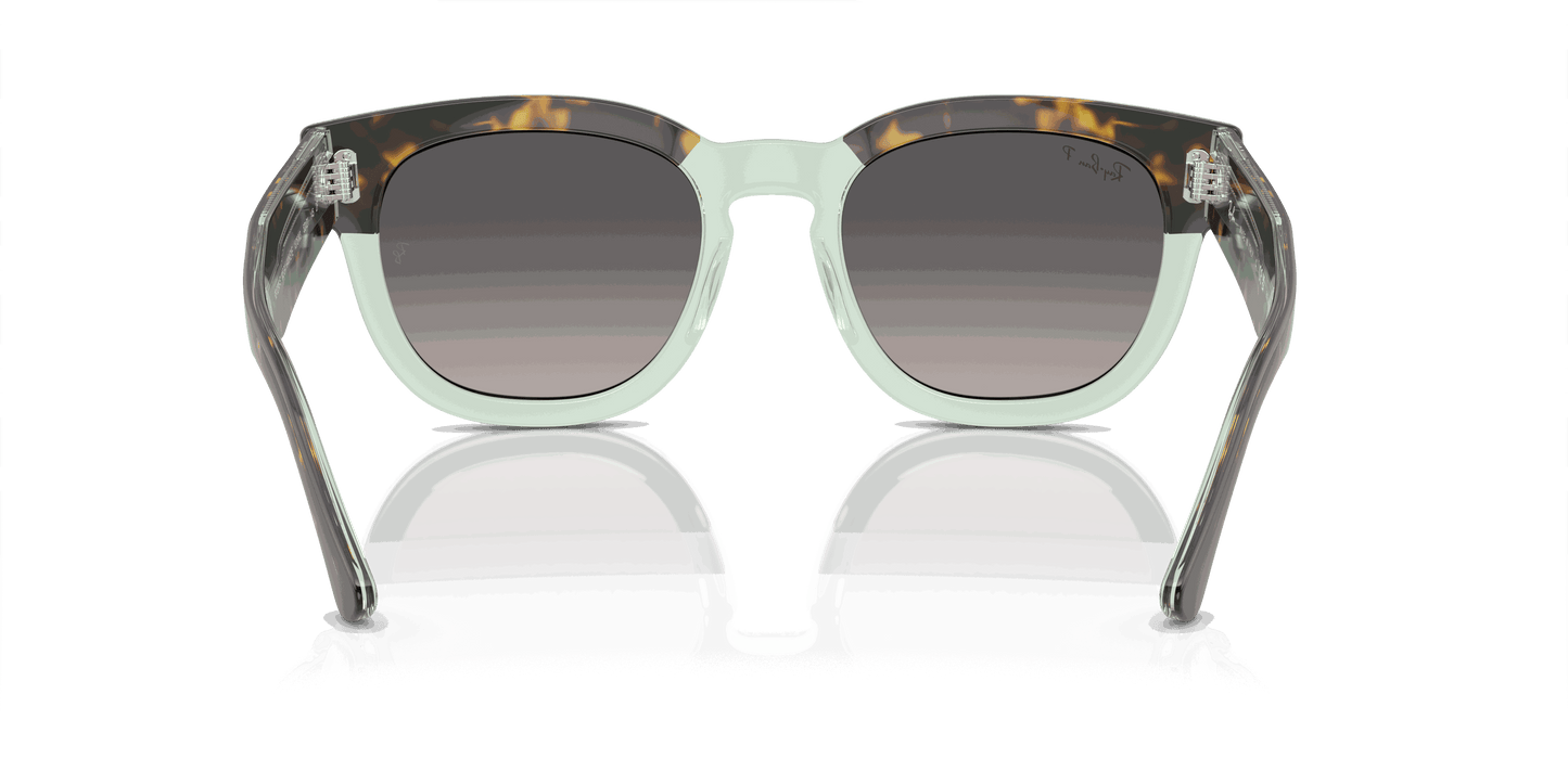 [Grey Lenses, Polished Havana On Transparent Green Frame]