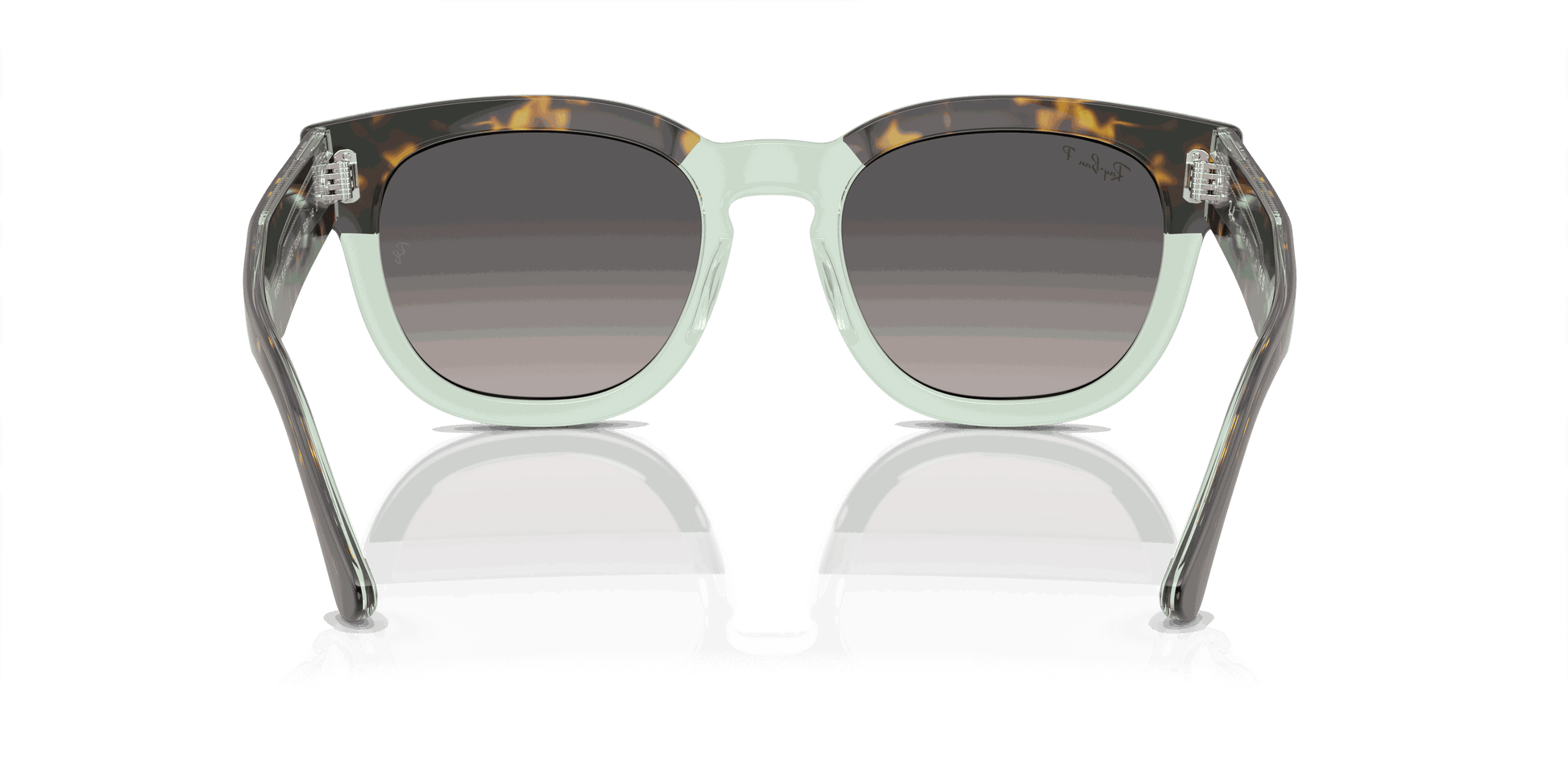 [Grey Lenses, Polished Havana On Transparent Green Frame]