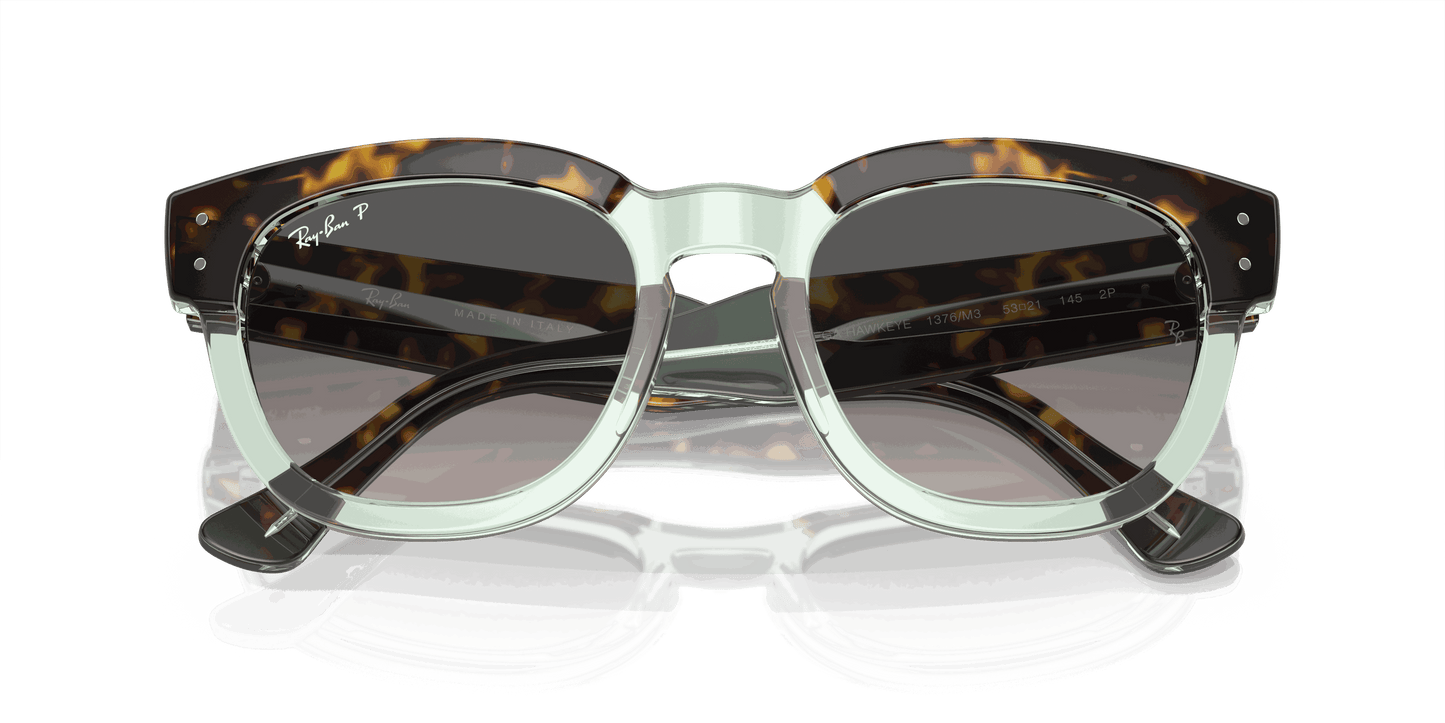 [Grey Lenses, Polished Havana On Transparent Green Frame]