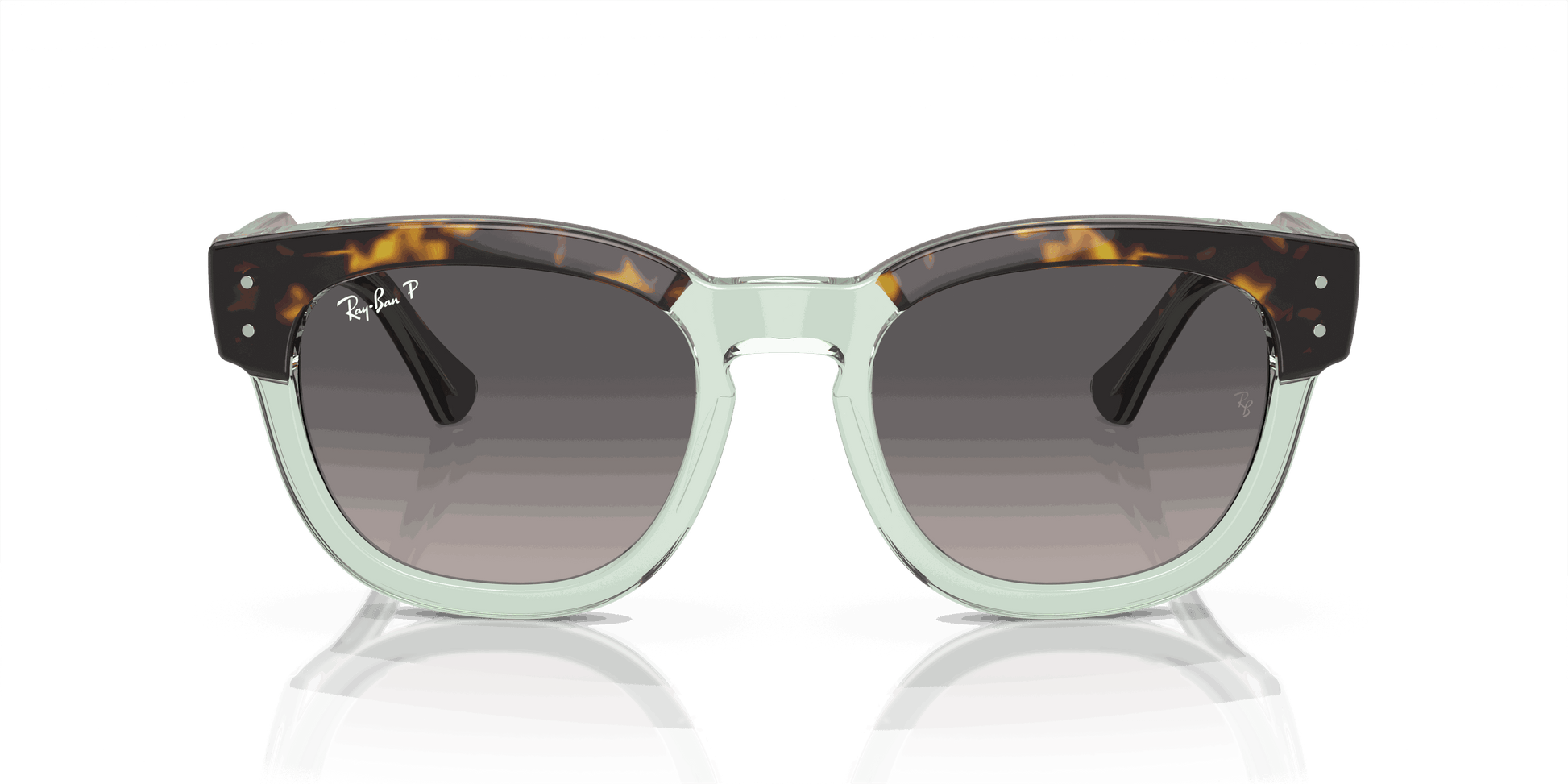 [Grey Lenses, Polished Havana On Transparent Green Frame]