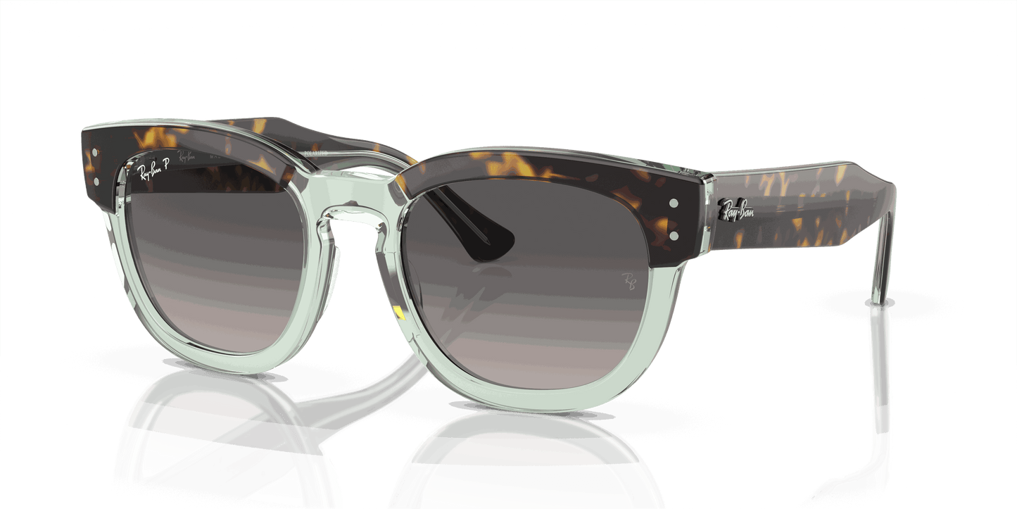 [Grey Lenses, Polished Havana On Transparent Green Frame]