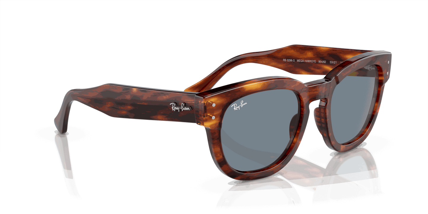 [Blue Lenses, Polished Striped Havana Frame]