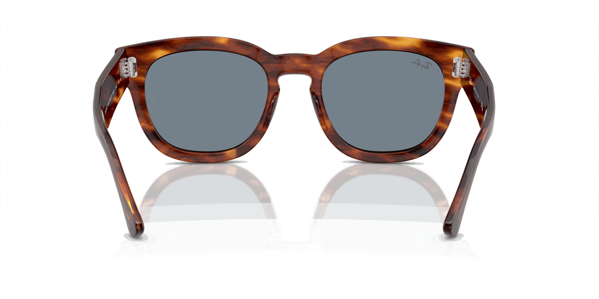 [Blue Lenses, Polished Striped Havana Frame]
