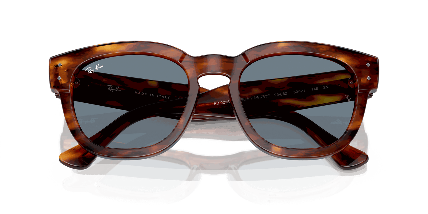 [Blue Lenses, Polished Striped Havana Frame]