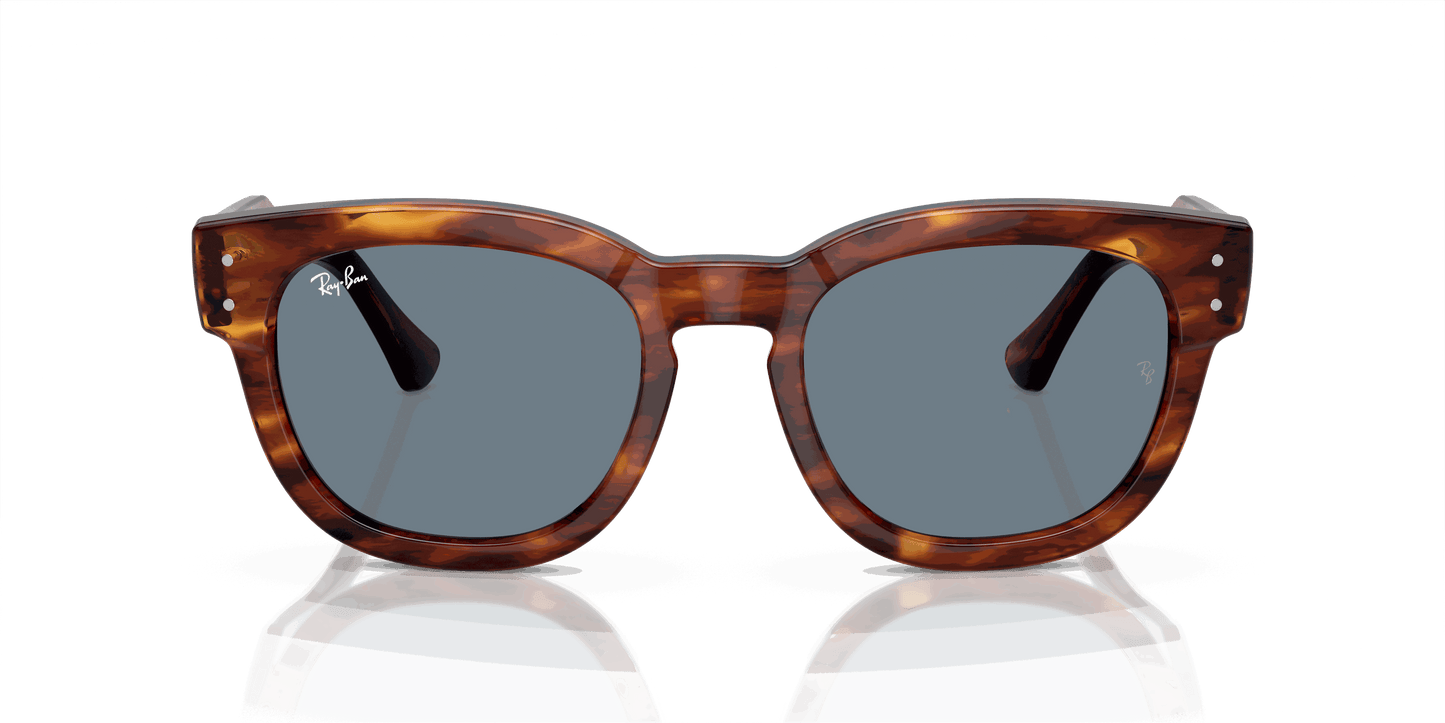 [Blue Lenses, Polished Striped Havana Frame]