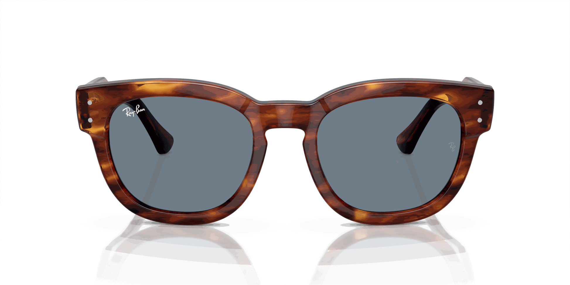 [Blue Lenses, Polished Striped Havana Frame]