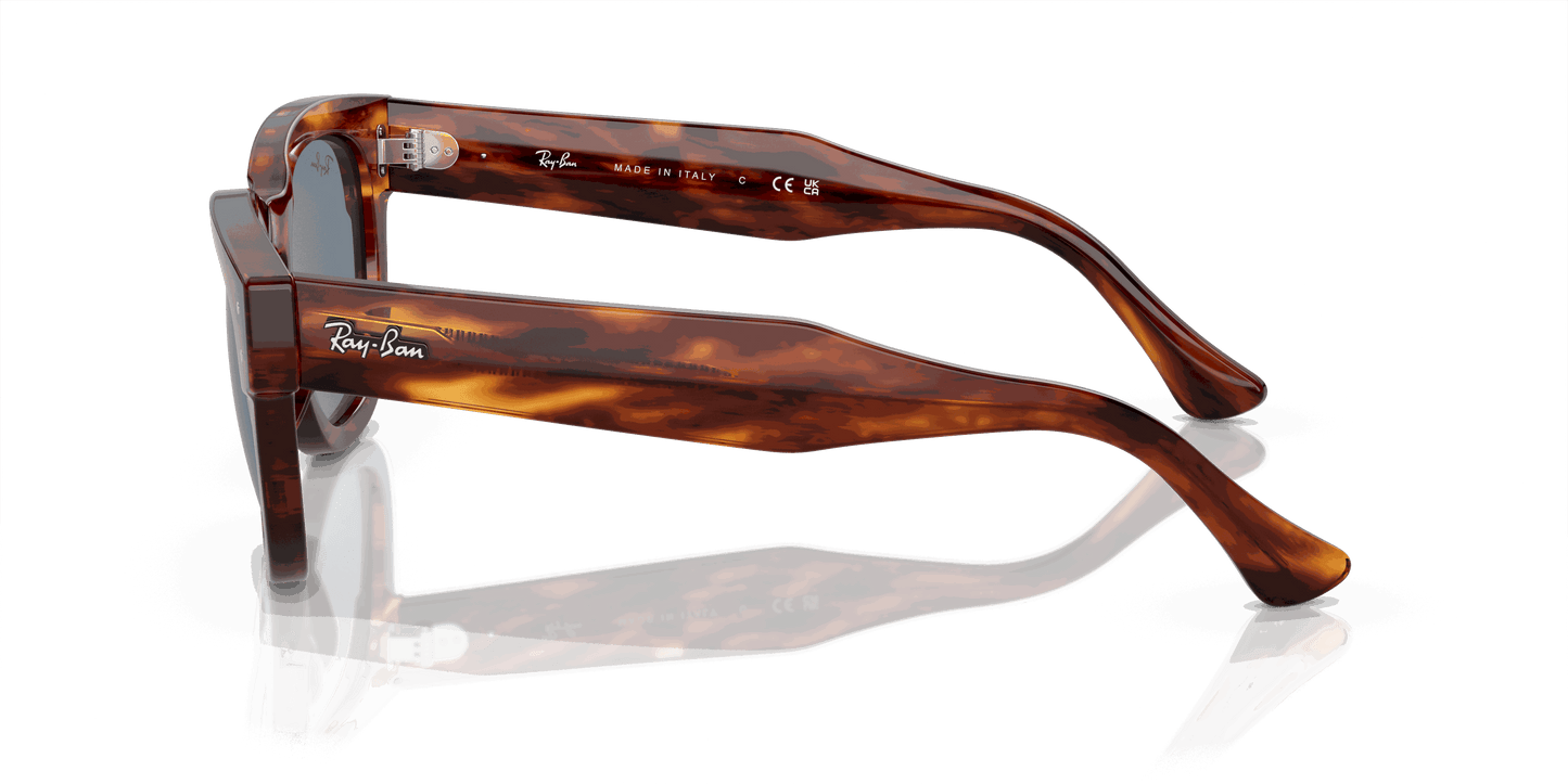 [Blue Lenses, Polished Striped Havana Frame]