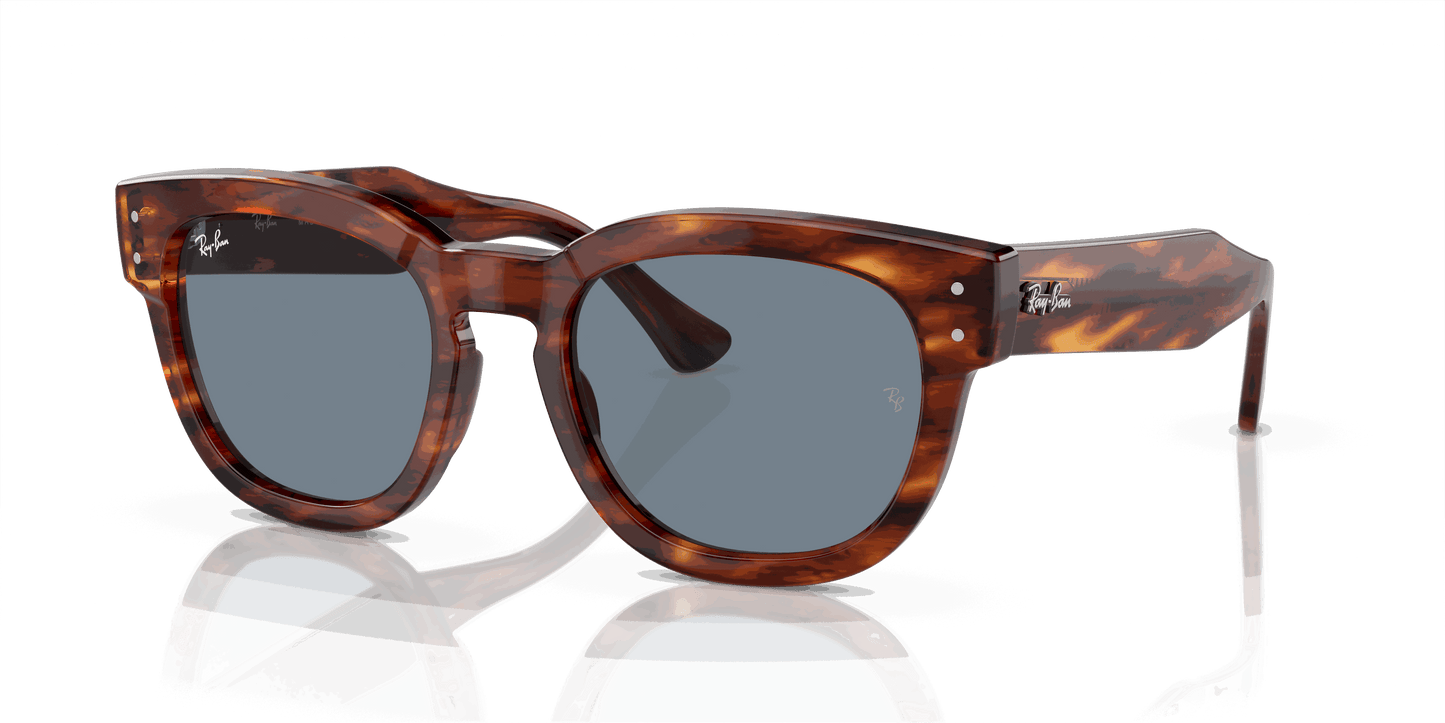 [Blue Lenses, Polished Striped Havana Frame]