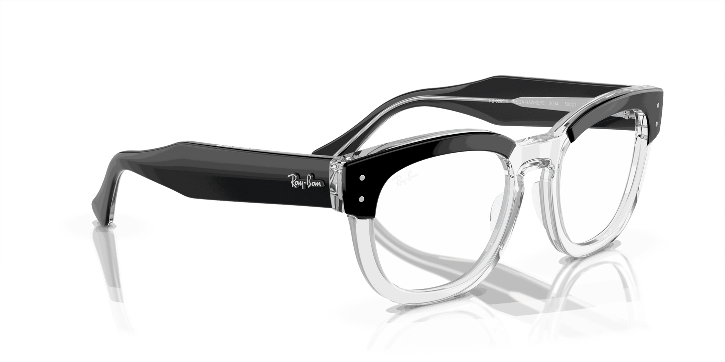 [Clear Lenses, Polished Black On Transparent Frame]