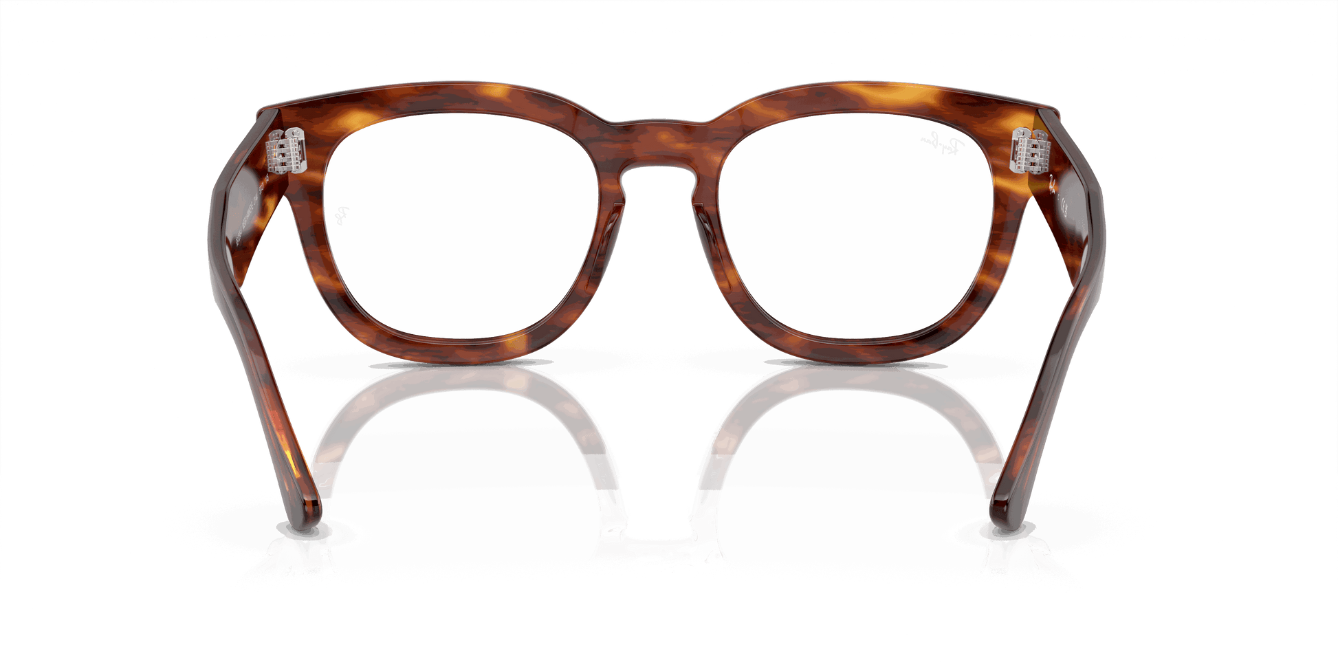 [Clear Lenses, Polished Striped Havana Frame]