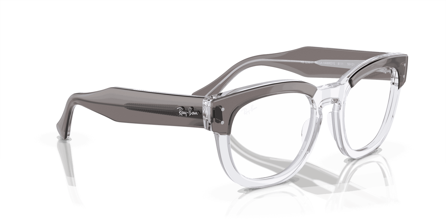[Clear Lenses, Polished Grey On Transparent Frame]