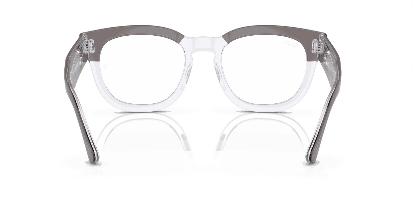 [Clear Lenses, Polished Grey On Transparent Frame]