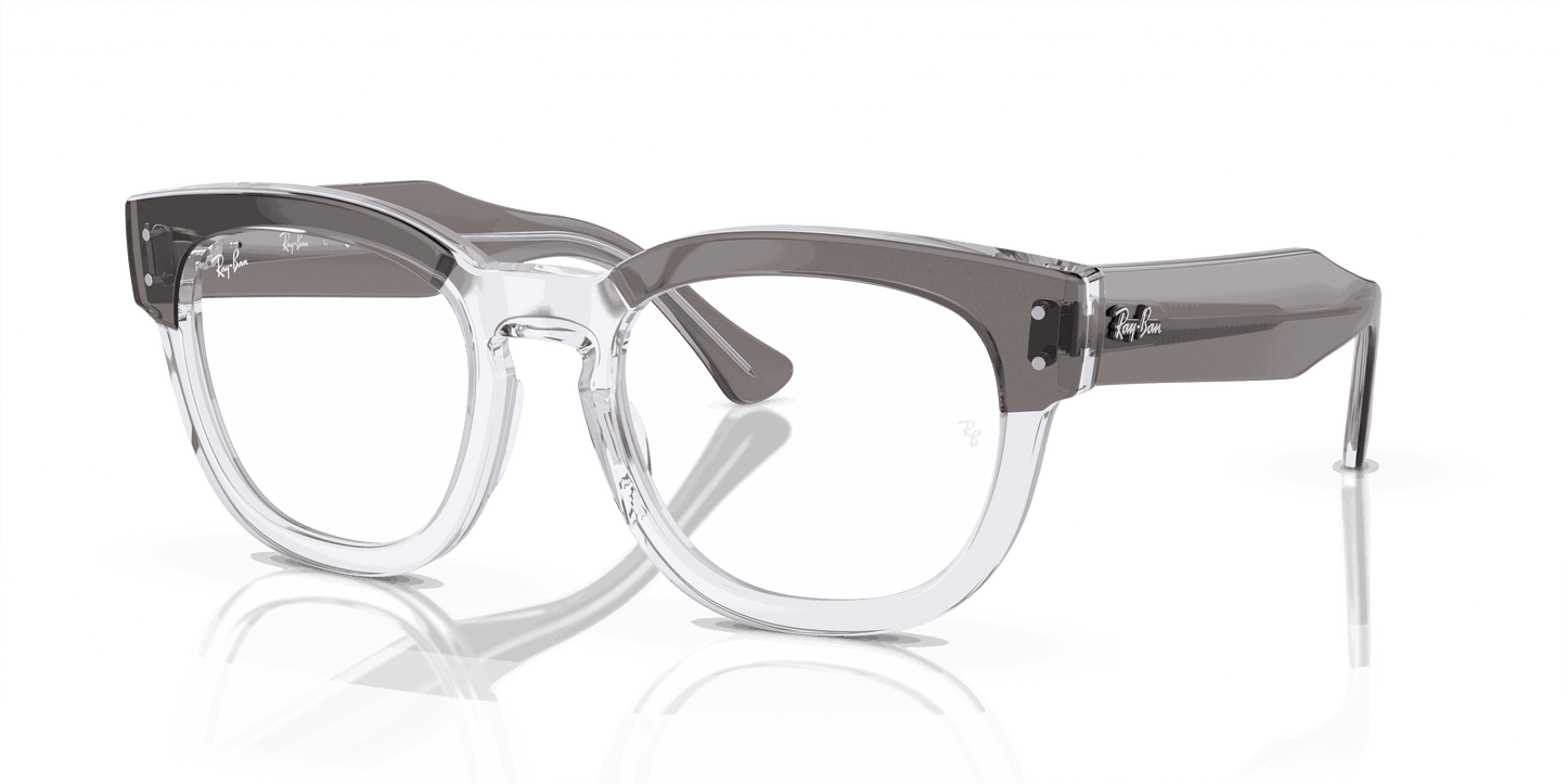 [Clear Lenses, Polished Grey On Transparent Frame]