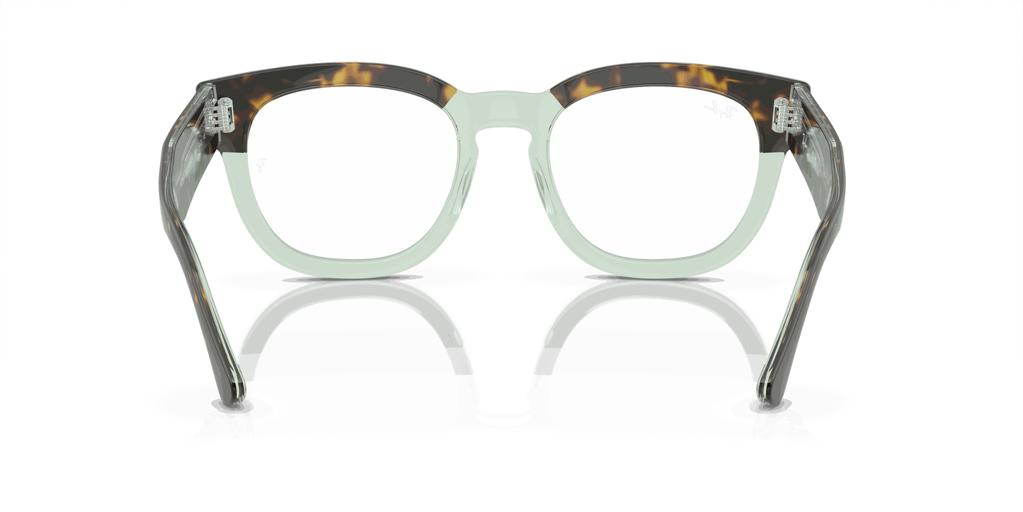 [Demo Lens Lenses, Polished Havana On Transparent Green Frame]