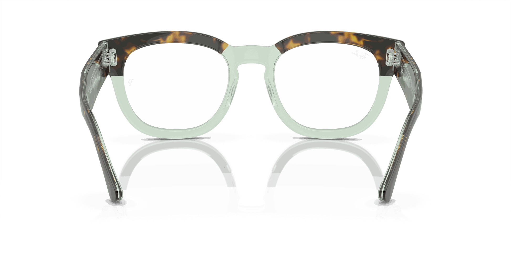 [Demo Lens Lenses, Polished Havana On Transparent Green Frame]