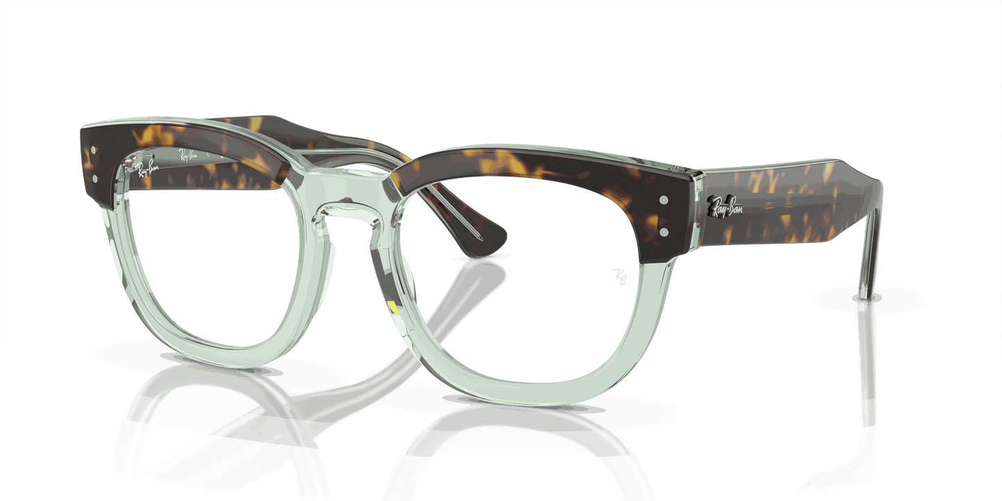 [Demo Lens Lenses, Polished Havana On Transparent Green Frame]