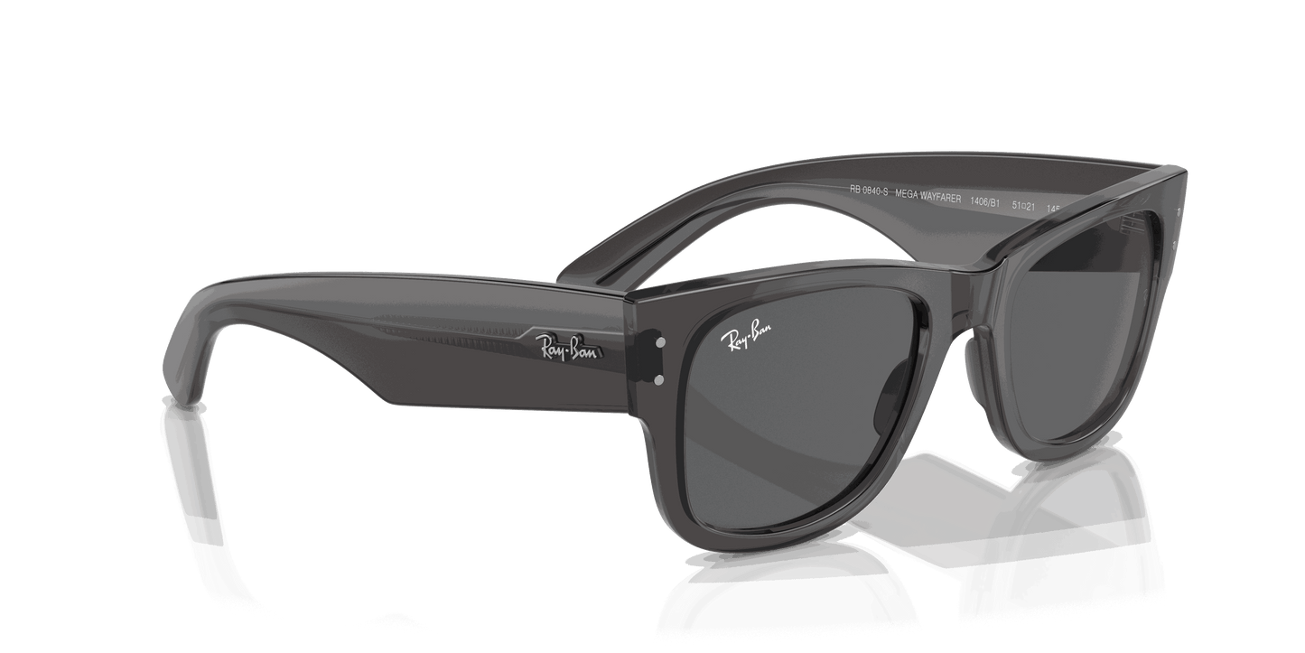 [Dark Grey Lenses, Polished Transparent Black Frame]