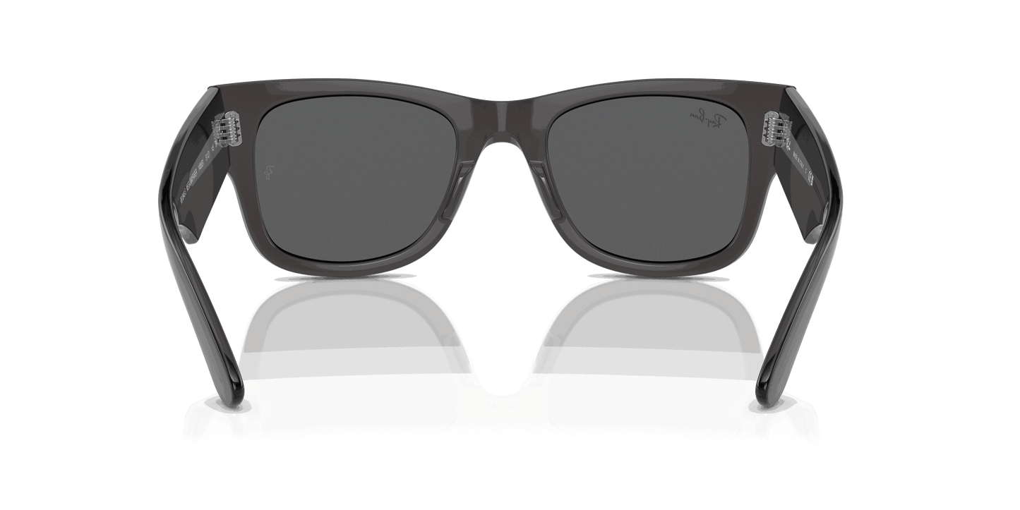 [Dark Grey Lenses, Polished Transparent Black Frame]