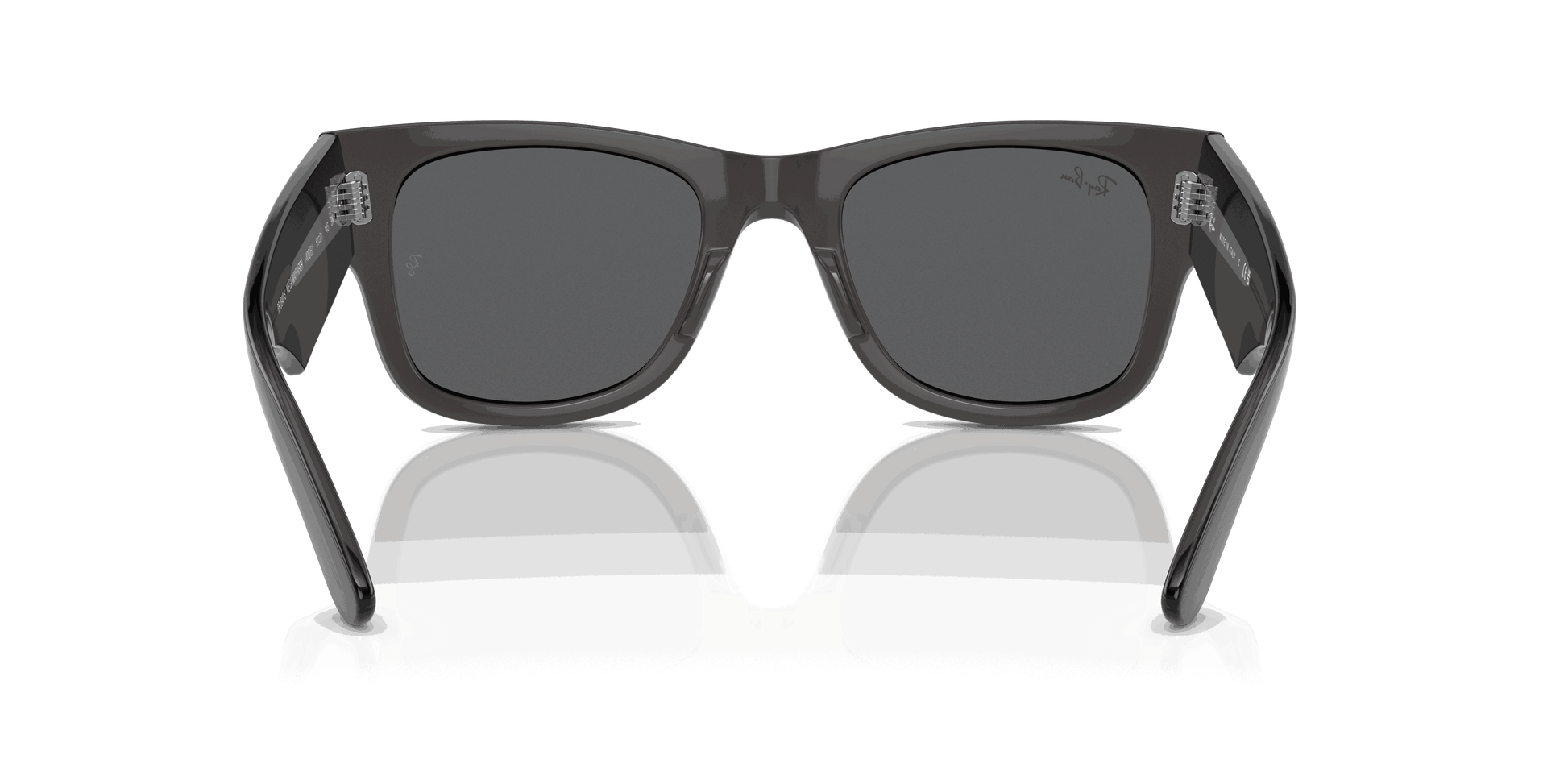 [Dark Grey Lenses, Polished Transparent Black Frame]