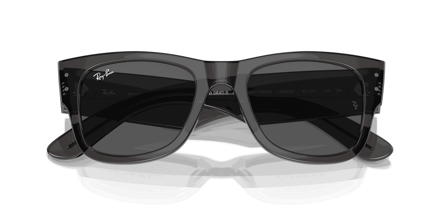 [Dark Grey Lenses, Polished Transparent Black Frame]