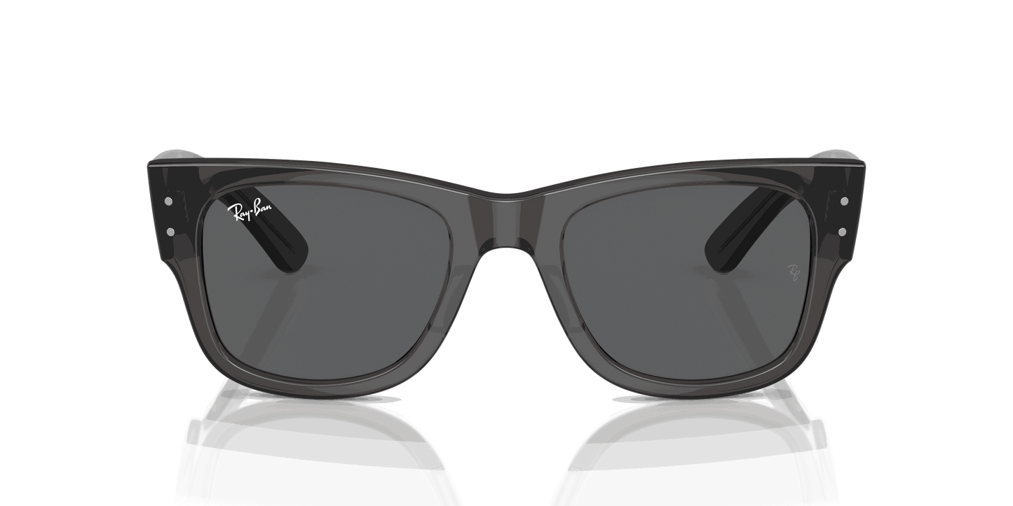 [Dark Grey Lenses, Polished Transparent Black Frame]