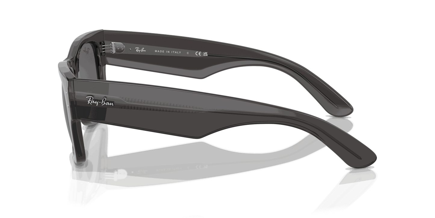 [Dark Grey Lenses, Polished Transparent Black Frame]