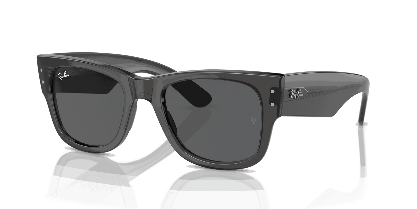 [Dark Grey Lenses, Polished Transparent Black Frame]