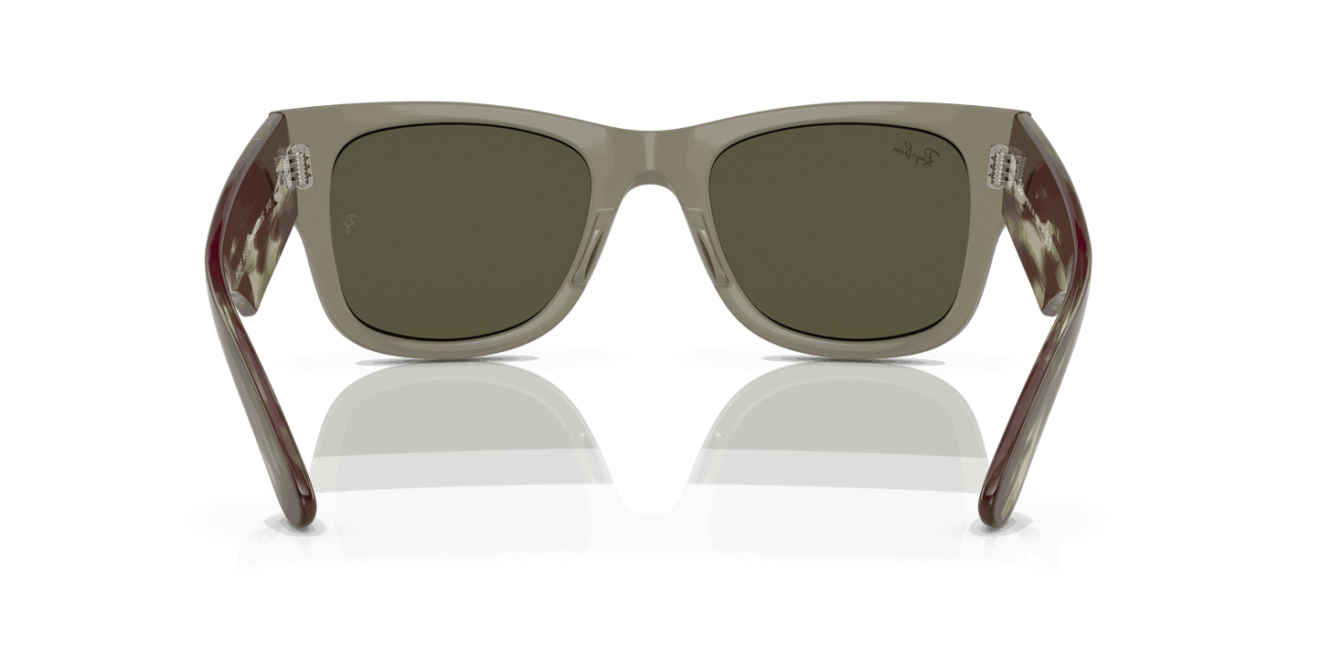 [Silver Lenses, Polished Transparent Green Frame]