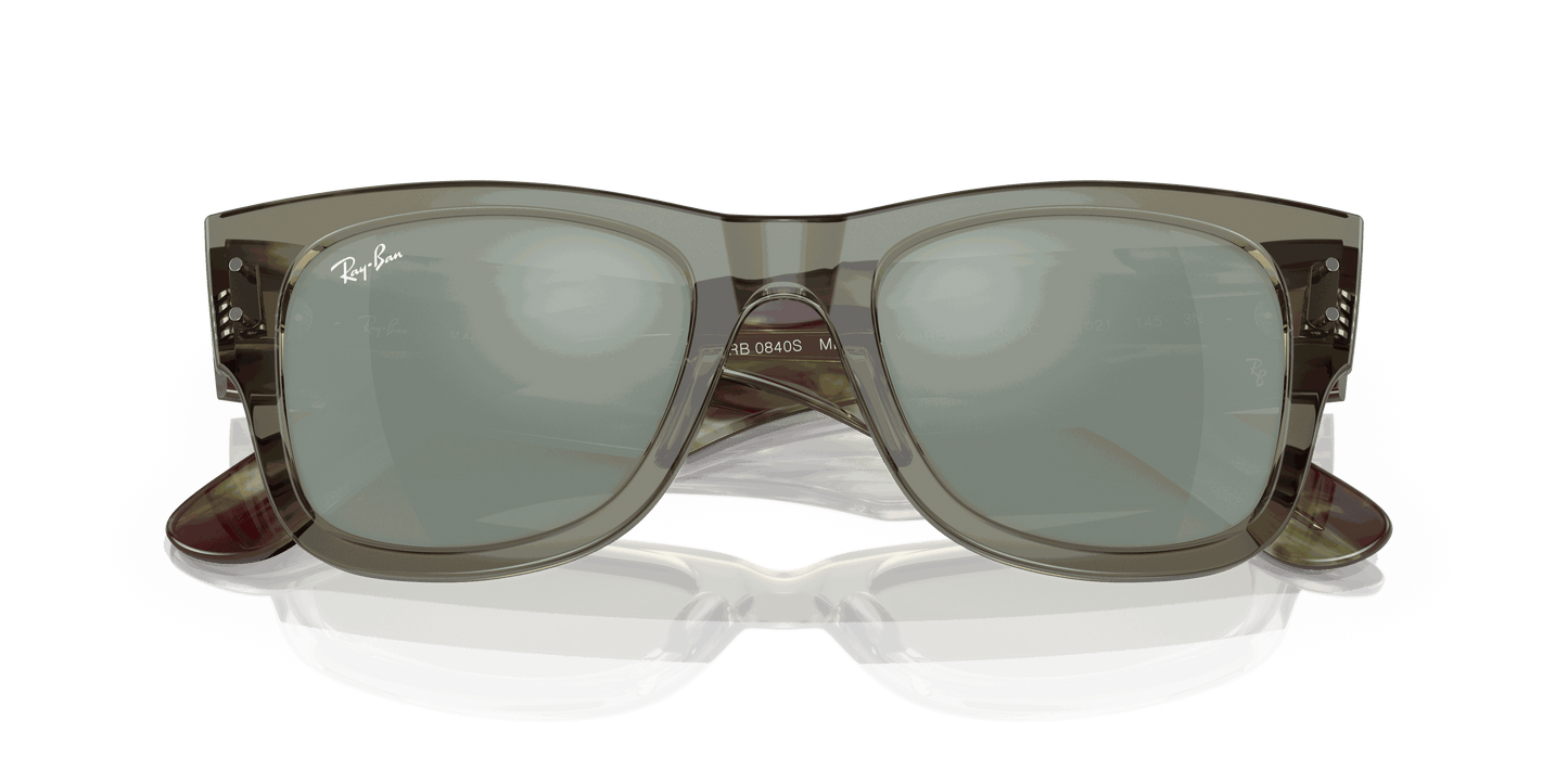 [Silver Lenses, Polished Transparent Green Frame]