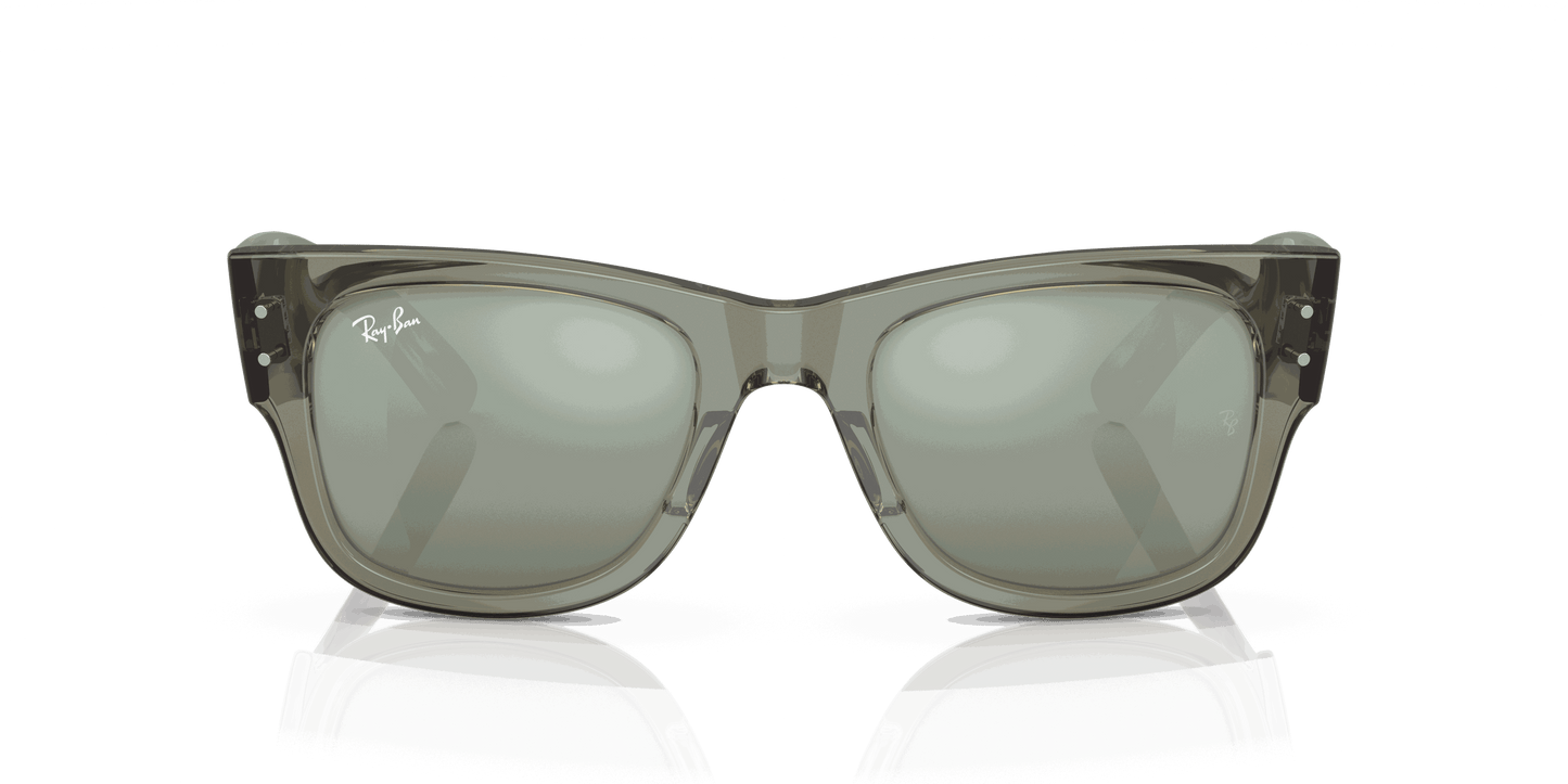 [Silver Lenses, Polished Transparent Green Frame]