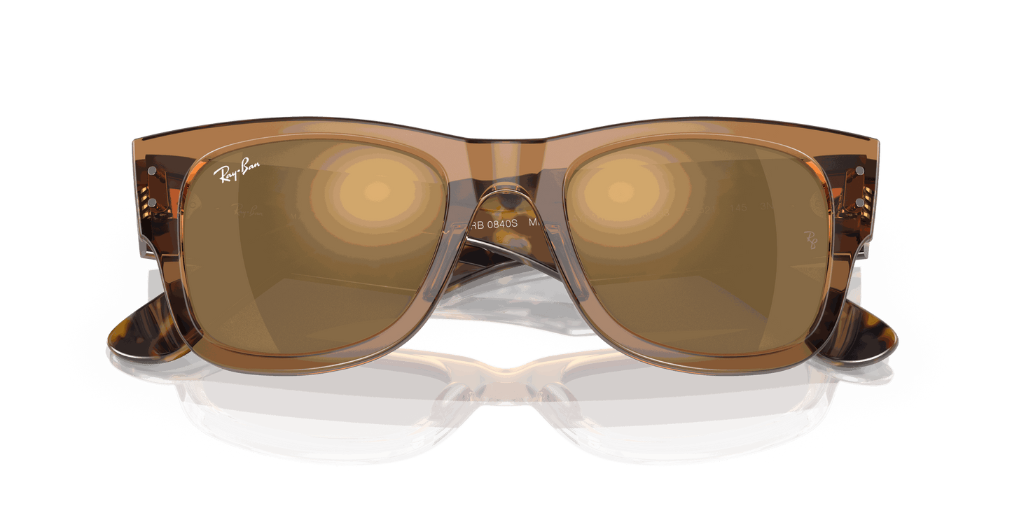 [Gold Lenses, Polished Transparent Brown Frame]