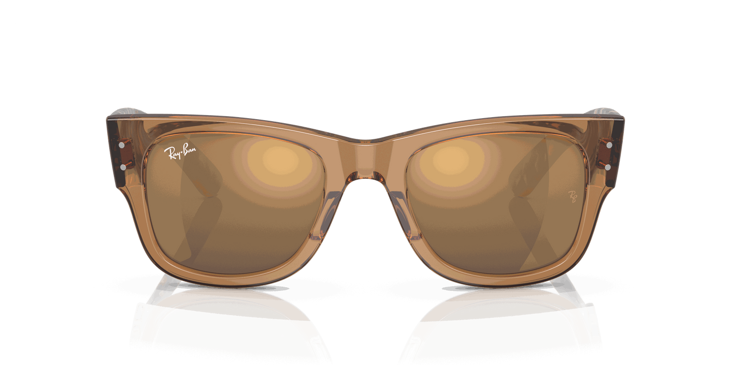 [Gold Lenses, Polished Transparent Brown Frame]