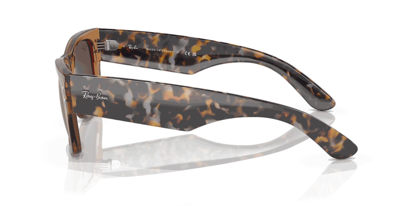 [Gold Lenses, Polished Transparent Brown Frame]
