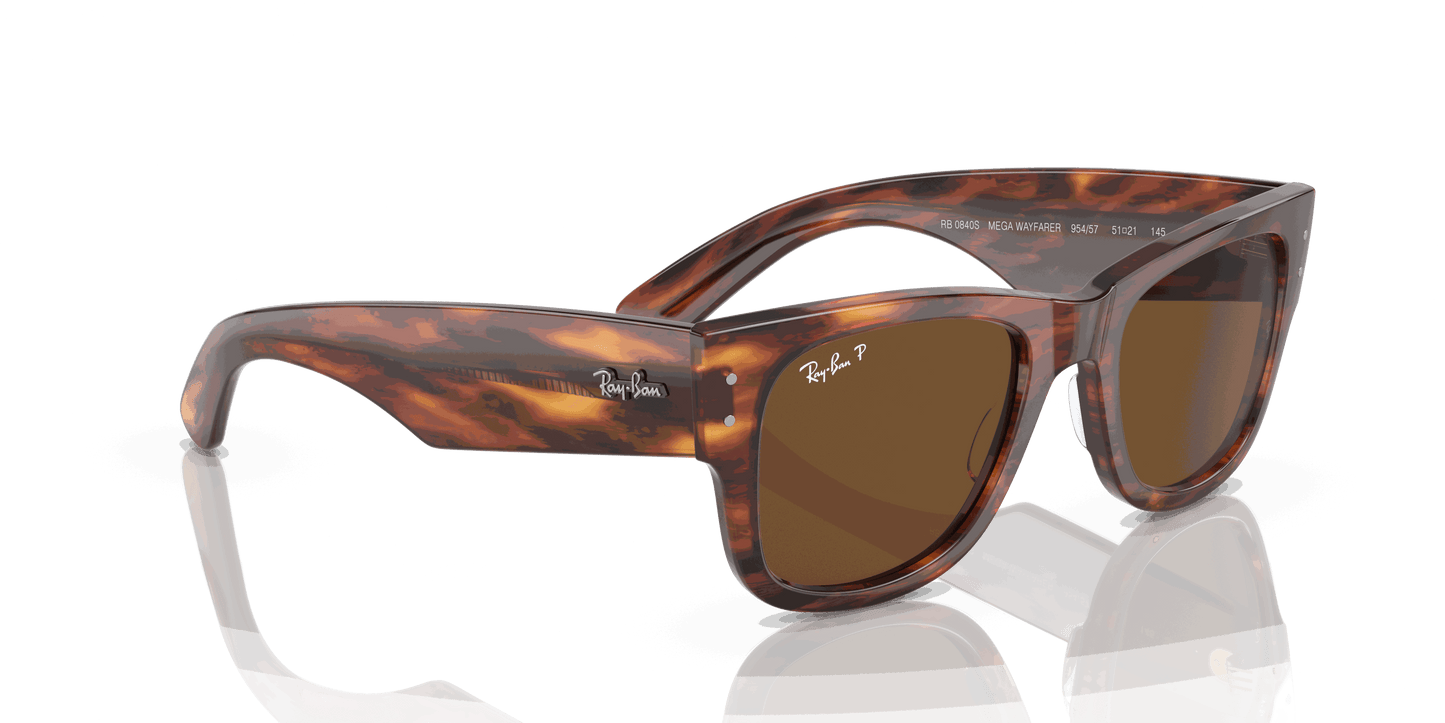 [Brown Lenses, Polished Striped Havana Frame]