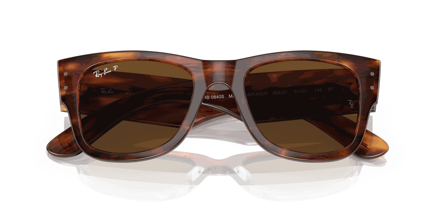 [Brown Lenses, Polished Striped Havana Frame]