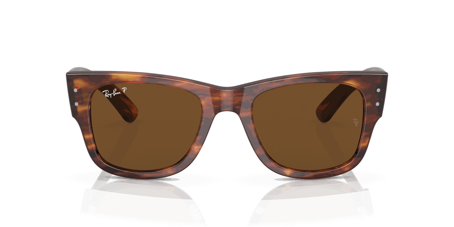 [Brown Lenses, Polished Striped Havana Frame]