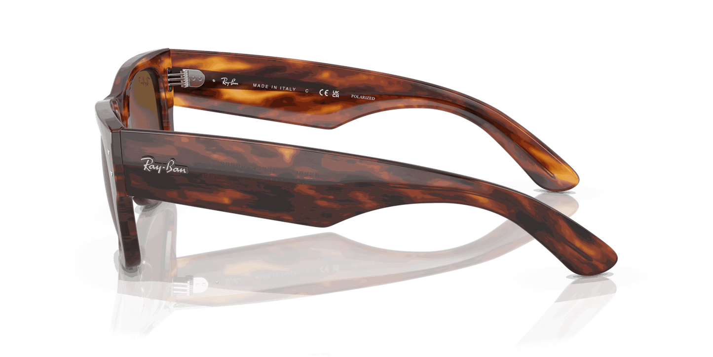 [Brown Lenses, Polished Striped Havana Frame]