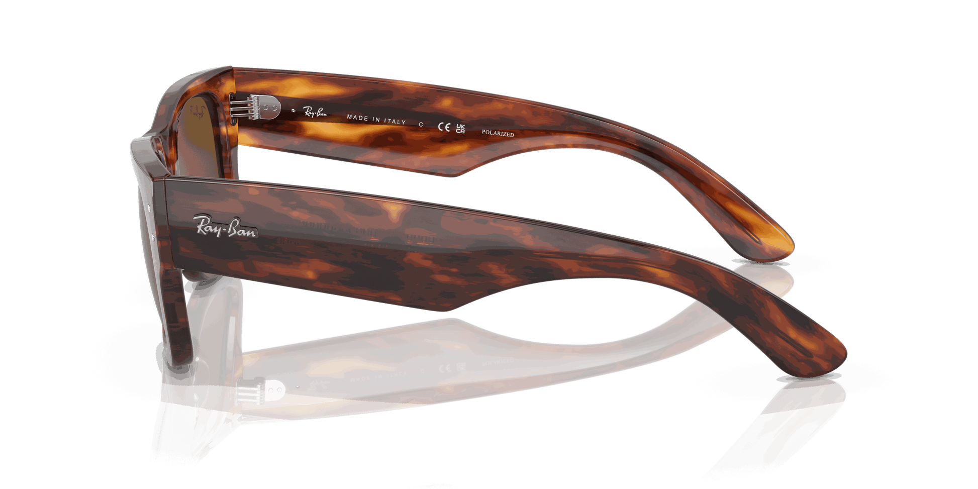 [Brown Lenses, Polished Striped Havana Frame]
