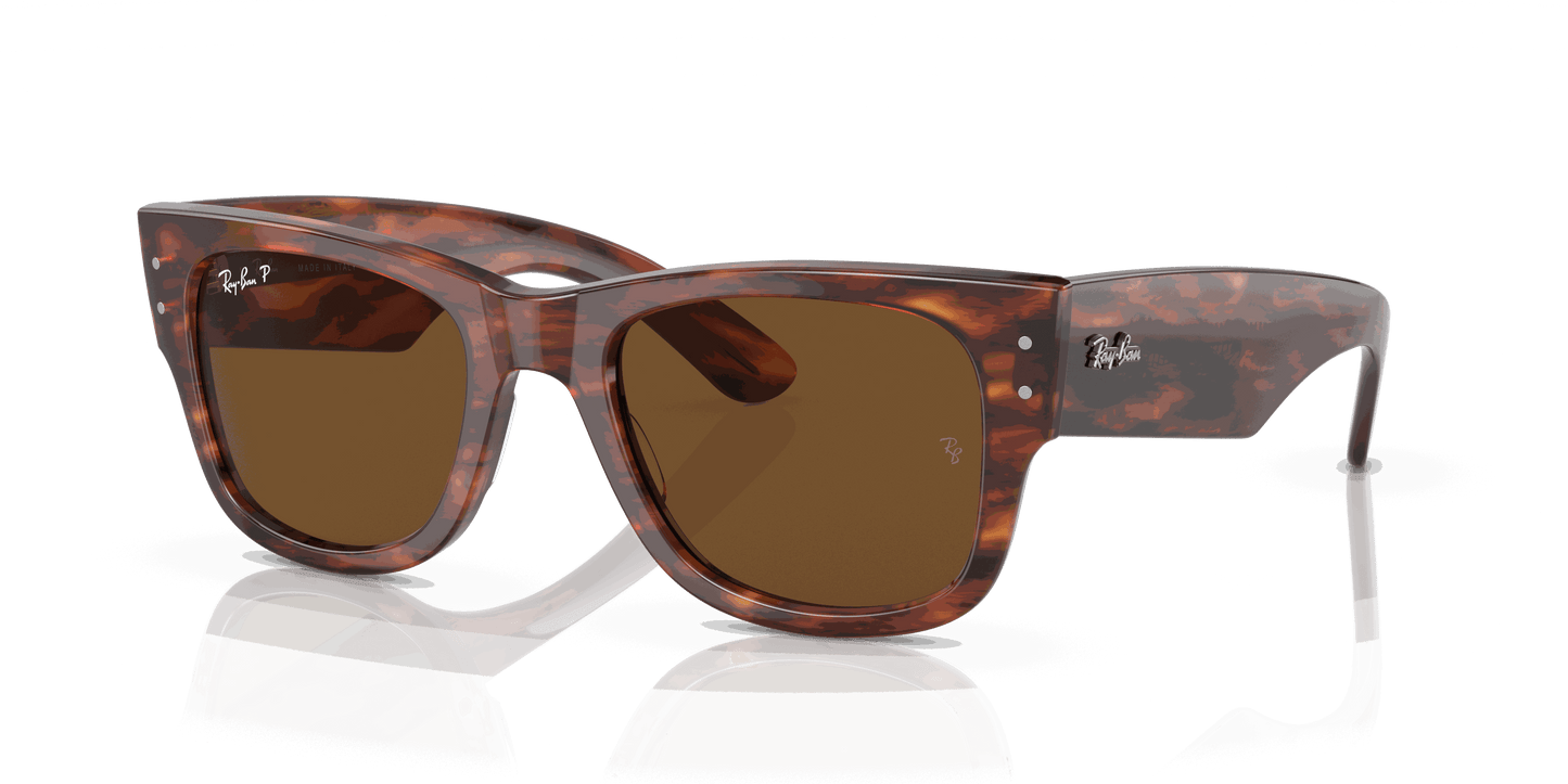 [Brown Lenses, Polished Striped Havana Frame]